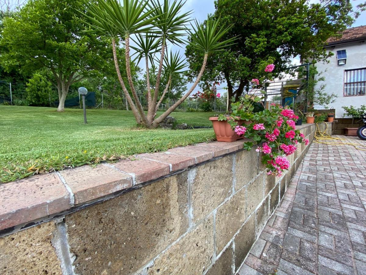 A Casa Di Nonna Emilia Bed and Breakfast Campagna Εξωτερικό φωτογραφία