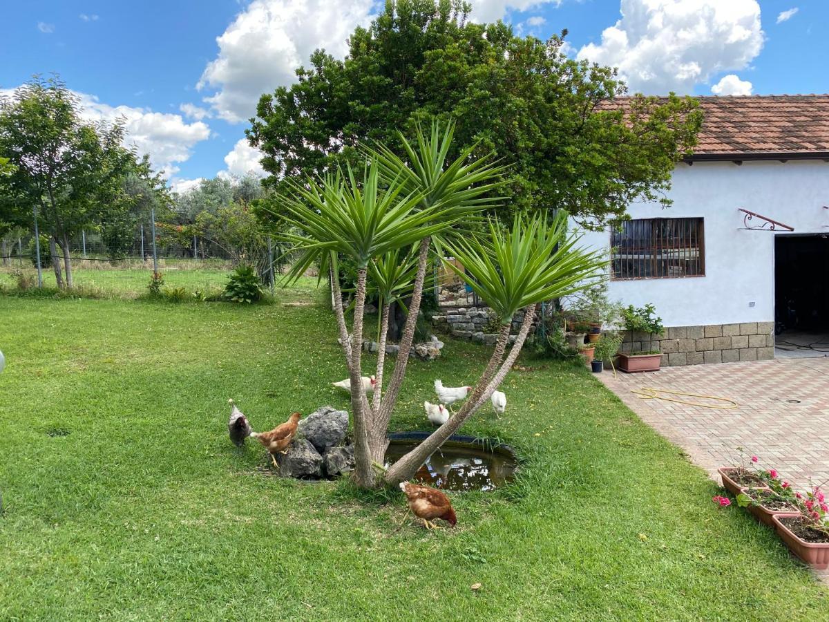 A Casa Di Nonna Emilia Bed and Breakfast Campagna Εξωτερικό φωτογραφία